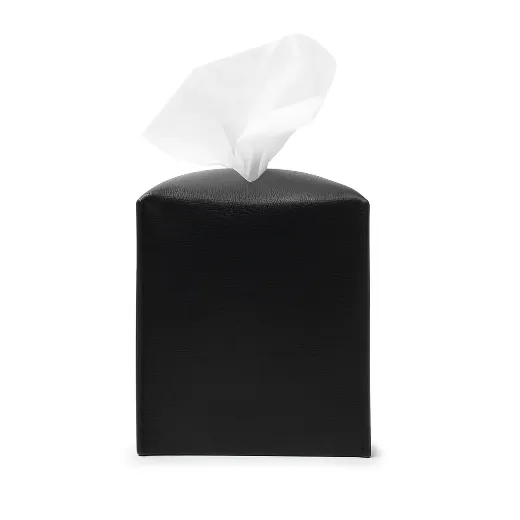 Picture of BULLTAILOR Upright Tissue Box Holder Cover